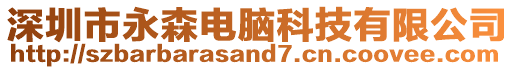 深圳市永森電腦科技有限公司