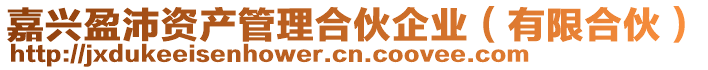 嘉興盈沛資產(chǎn)管理合伙企業(yè)(有限合伙)