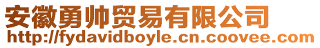 安徽勇帥貿(mào)易有限公司