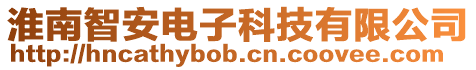 淮南智安電子科技有限公司