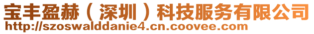 寶豐盈赫(深圳)科技服務(wù)有限公司