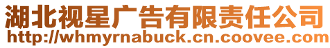 湖北視星廣告有限責任公司