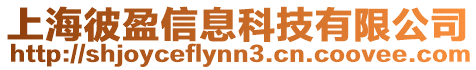 上海彼盈信息科技有限公司