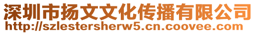 深圳市揚文文化傳播有限公司