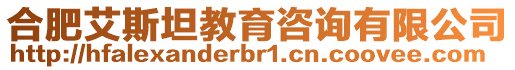 合肥艾斯坦教育咨詢有限公司