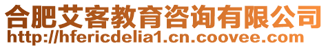 合肥艾客教育咨詢有限公司