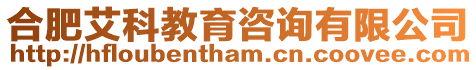 合肥艾科教育咨詢有限公司