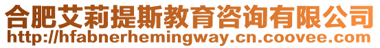 合肥艾莉提斯教育咨詢有限公司