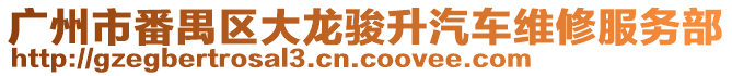 廣州市番禺區大龍駿升汽車維修服務部