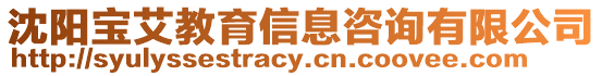 沈陽寶艾教育信息咨詢有限公司