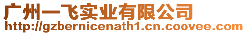 廣州一飛實業(yè)有限公司