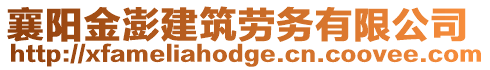 襄陽金澎建筑勞務有限公司
