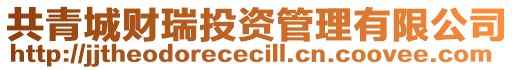 共青城財瑞投資管理有限公司