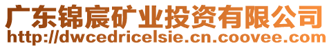 廣東錦宸礦業(yè)投資有限公司