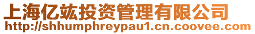 上海億竑投資管理有限公司