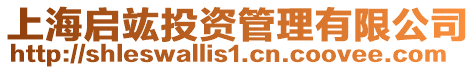 上海啟竑投資管理有限公司
