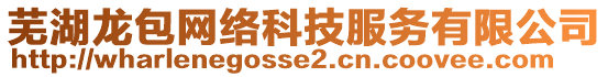 蕪湖龍包網(wǎng)絡(luò)科技服務(wù)有限公司