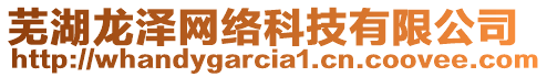 蕪湖龍澤網絡科技有限公司