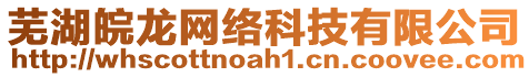 蕪湖皖龍網(wǎng)絡(luò)科技有限公司