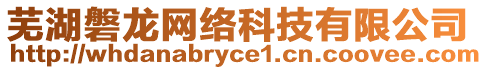 蕪湖磐龍網(wǎng)絡(luò)科技有限公司