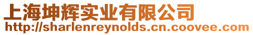 上海坤輝實業有限公司