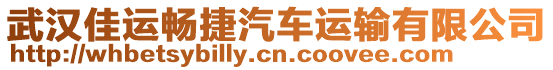 武漢佳運暢捷汽車運輸有限公司