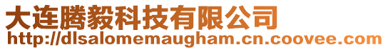 大連騰毅科技有限公司
