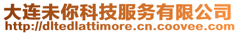 大連未你科技服務(wù)有限公司