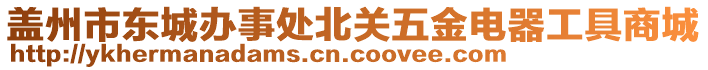 蓋州市東城辦事處北關五金電器工具商城