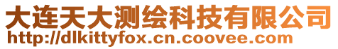 大連天大測繪科技有限公司