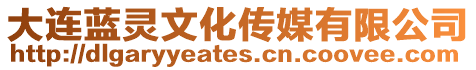 大連藍(lán)靈文化傳媒有限公司