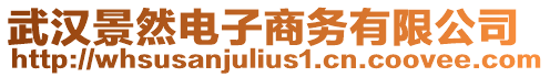 武漢景然電子商務有限公司