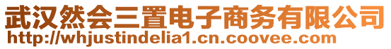 武漢然會三置電子商務有限公司