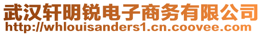 武漢軒明銳電子商務有限公司
