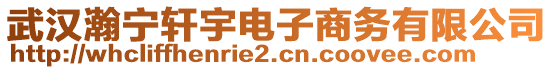 武漢瀚寧軒宇電子商務有限公司