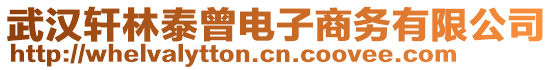 武漢軒林泰曾電子商務(wù)有限公司