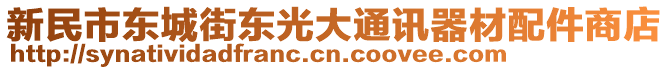新民市東城街東光大通訊器材配件商店