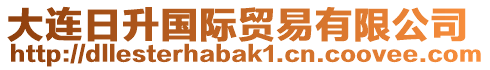 大連日升國際貿易有限公司