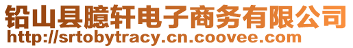 鉛山縣臆軒電子商務有限公司