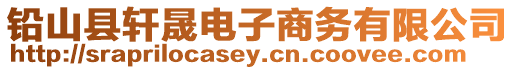 鉛山縣軒晟電子商務有限公司