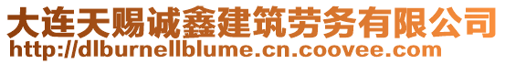 大連天賜誠鑫建筑勞務有限公司