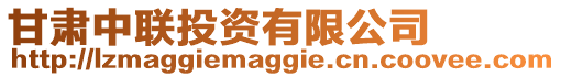 甘肅中聯(lián)投資有限公司