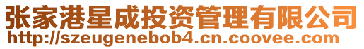 張家港星成投資管理有限公司