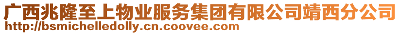 廣西兆隆至上物業(yè)服務(wù)集團(tuán)有限公司靖西分公司