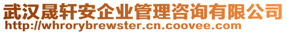 武汉晟轩安企业管理咨询有限公司