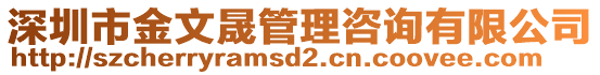 深圳市金文晟管理咨询有限公司