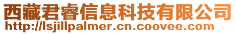 西藏君睿信息科技有限公司