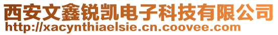 西安文鑫銳凱電子科技有限公司
