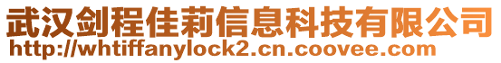 武漢劍程佳莉信息科技有限公司