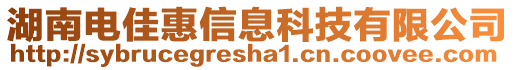 湖南電佳惠信息科技有限公司